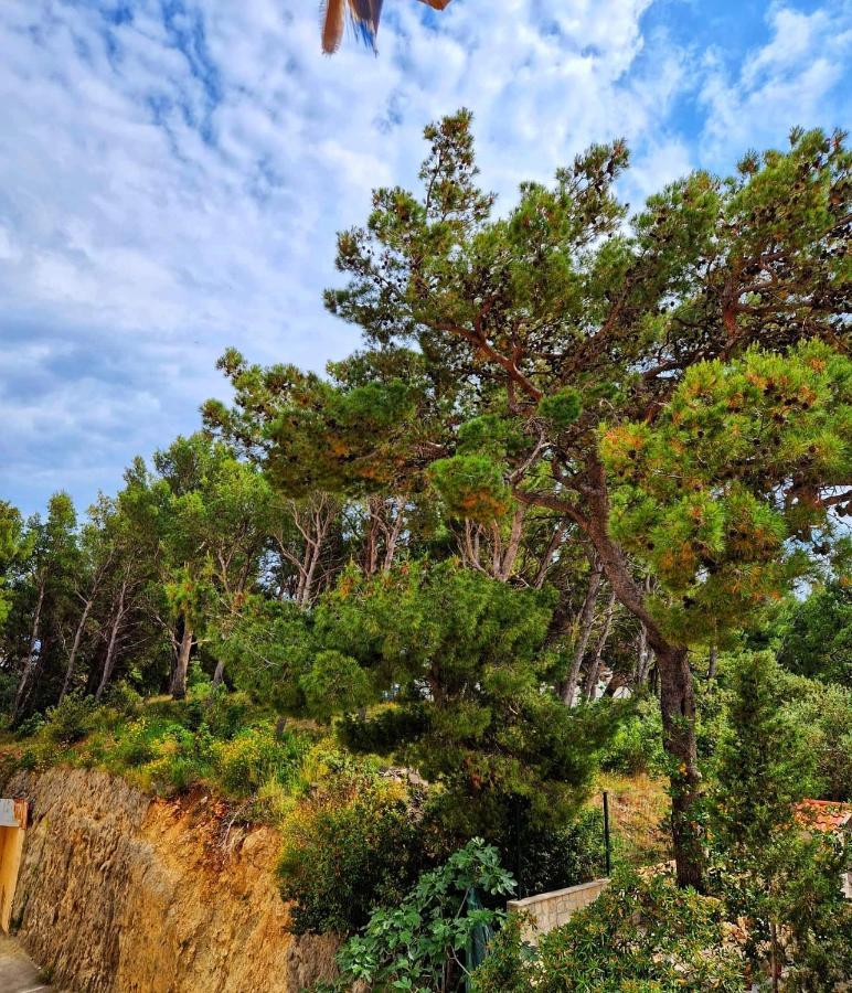 Apartman Mar18 Makarska Eksteriør bilde